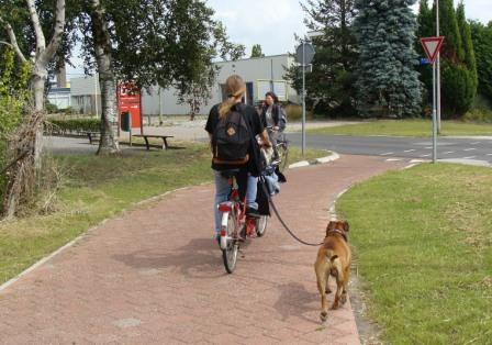 Person cycling along a brick-paved Dutch path while their dog trots alongside on a lead