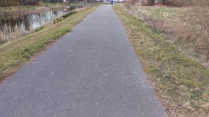 Narrow tarmac towpath beside the Royal Canal on the edge of Mullingar, bordered by grass verges.